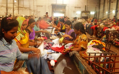Mutilated Rags - Wholesale budget from Maruti Exports, India