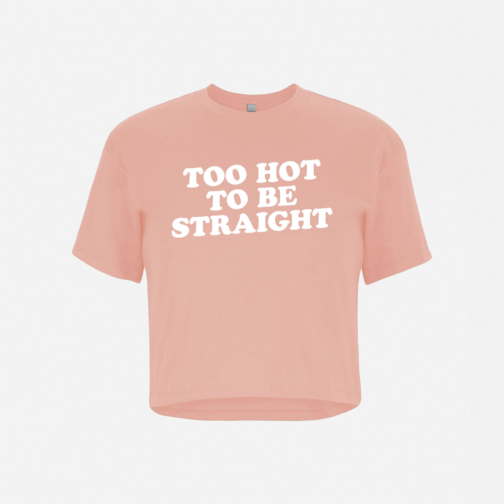 Too Hot To Be Straight Crop Top Tee: Pink / 2XL - Wholesale budget from Plus BKLYN, United States