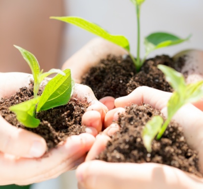 Sustainability Initiatives - Wholesale budget from Tekstila, Spain