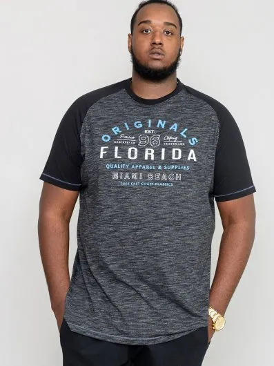 WHITFIELD - Florida Originals Raglan Sleeve Printed T-Shirt- DEAL PACK - Wholesale casual from The Duke Clothing Co., United Kingdom