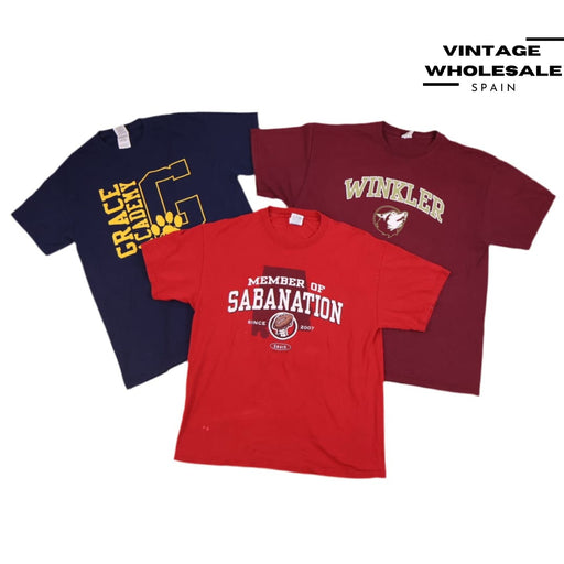 MIX CAMISETAS DE UNIVERSIDAD/ESTADO/DESTINO - Wholesale casual from Vintage Wholesale Spain, Spain
